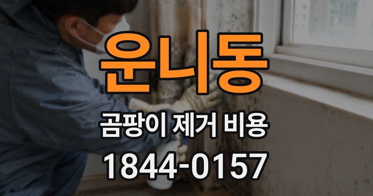 운니동 곰팡이 제거 비용