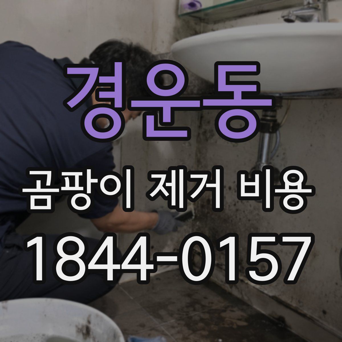 경운동 곰팡이 제거 비용