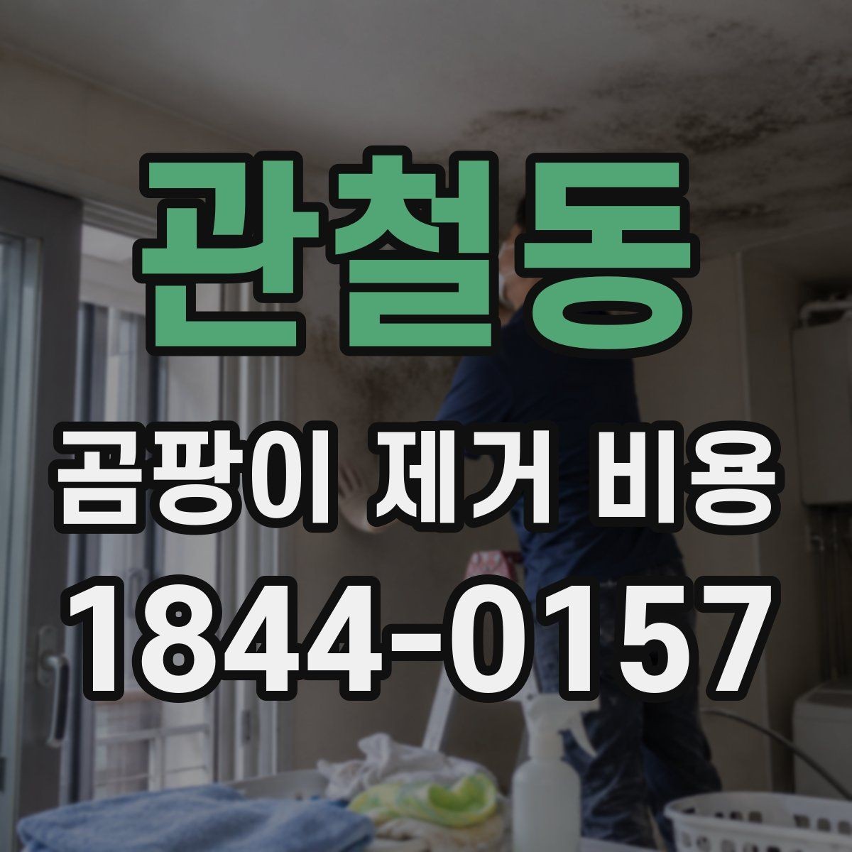 관철동 곰팡이 제거 비용 벽지 뜯는 범위가 넓어질 때 견적 포인트