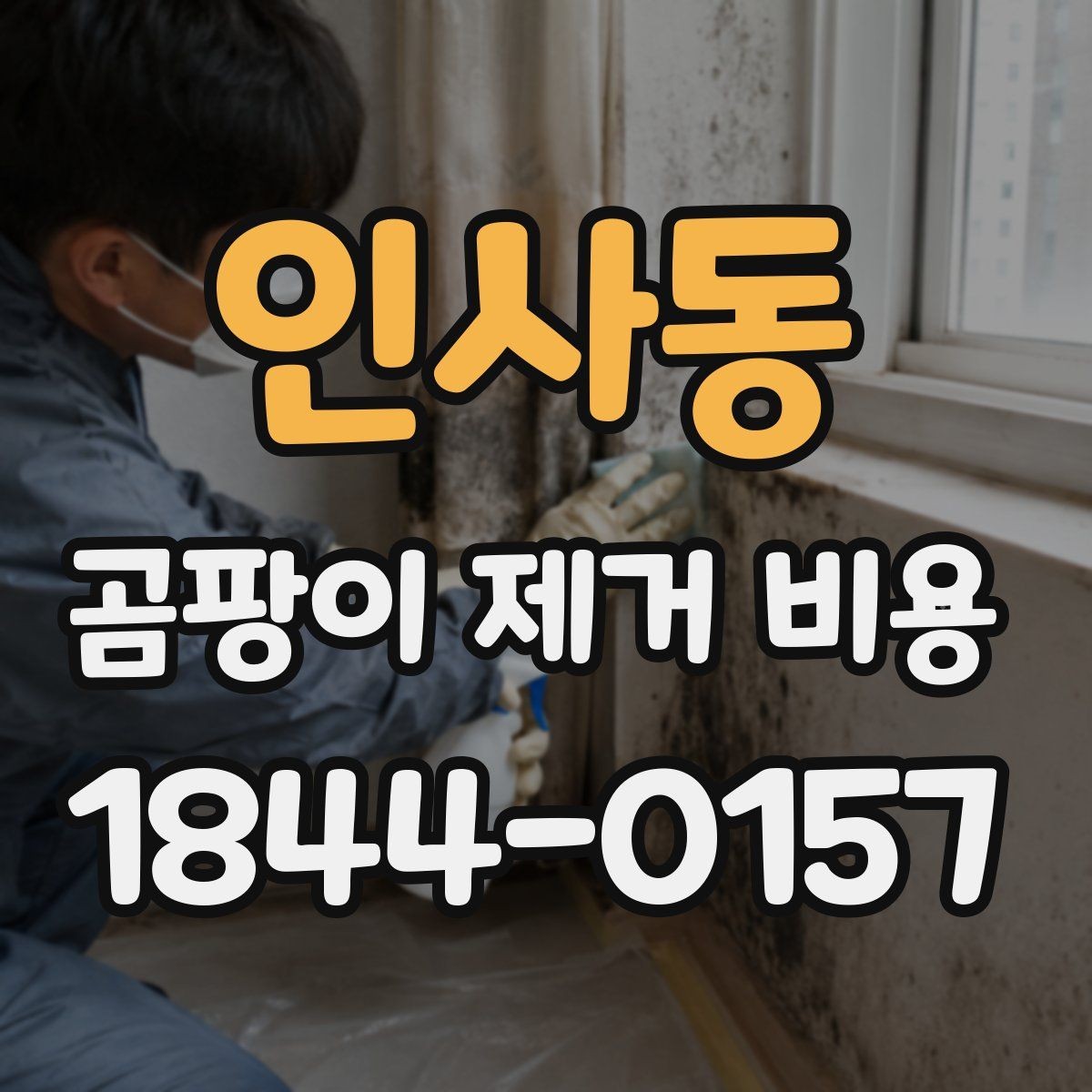 인사동 곰팡이 제거 비용 보양·이동 비용이 추가되는 상황 정리