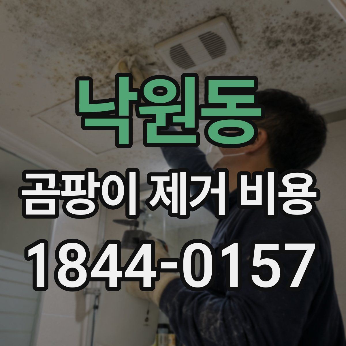 낙원동 곰팡이 제거 비용 부분 보수와 전체 시공을 구분하는 방법