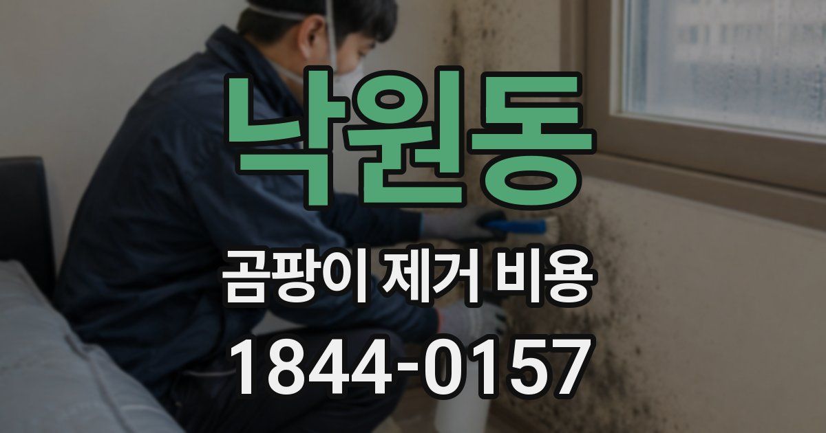 낙원동 곰팡이 제거 비용