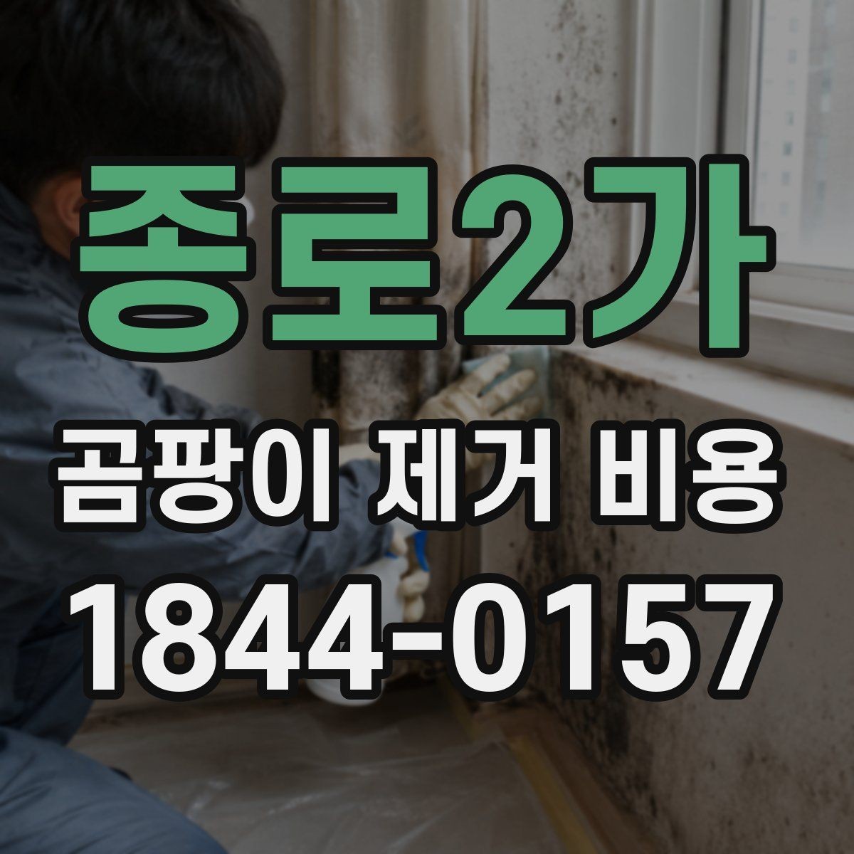종로2가 곰팡이 제거 비용 배관 누수 주변까지 살펴봐야 하는 이유