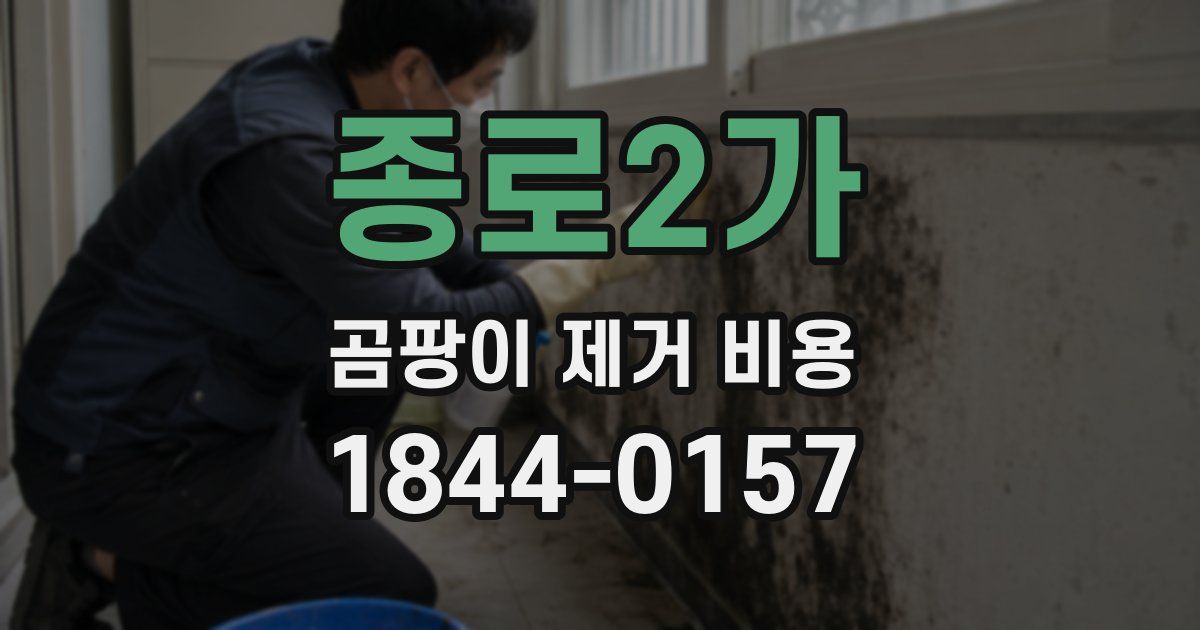 종로2가 곰팡이 제거 비용