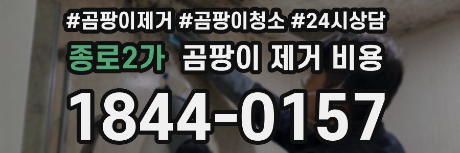 종로2가 곰팡이 제거 비용