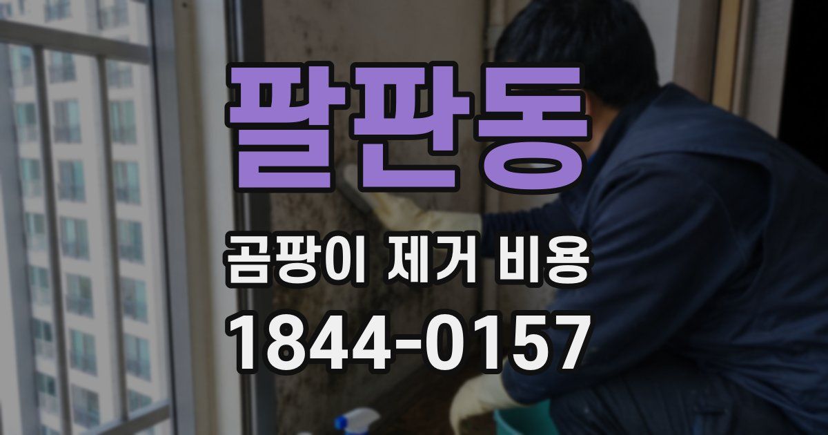 팔판동 곰팡이 제거 비용