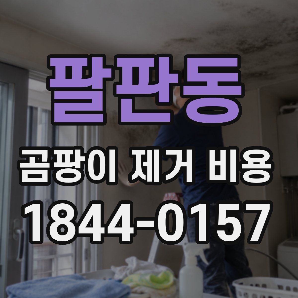 팔판동 곰팡이 제거 비용