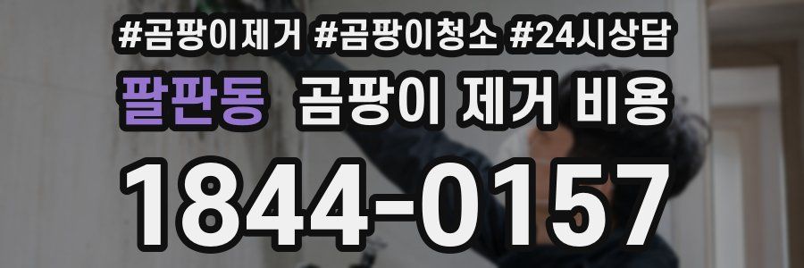 팔판동 곰팡이 제거 비용