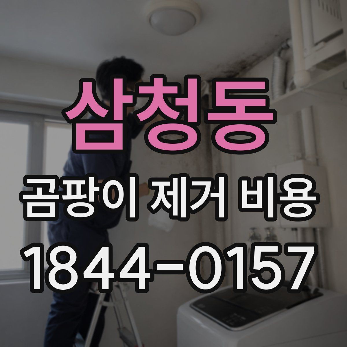 삼청동 곰팡이 제거 비용 재발 방지까지 포함한 견적 확인법