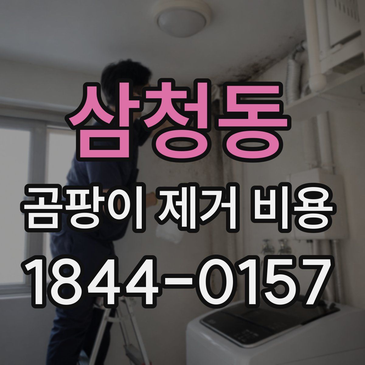 삼청동 곰팡이 제거 비용