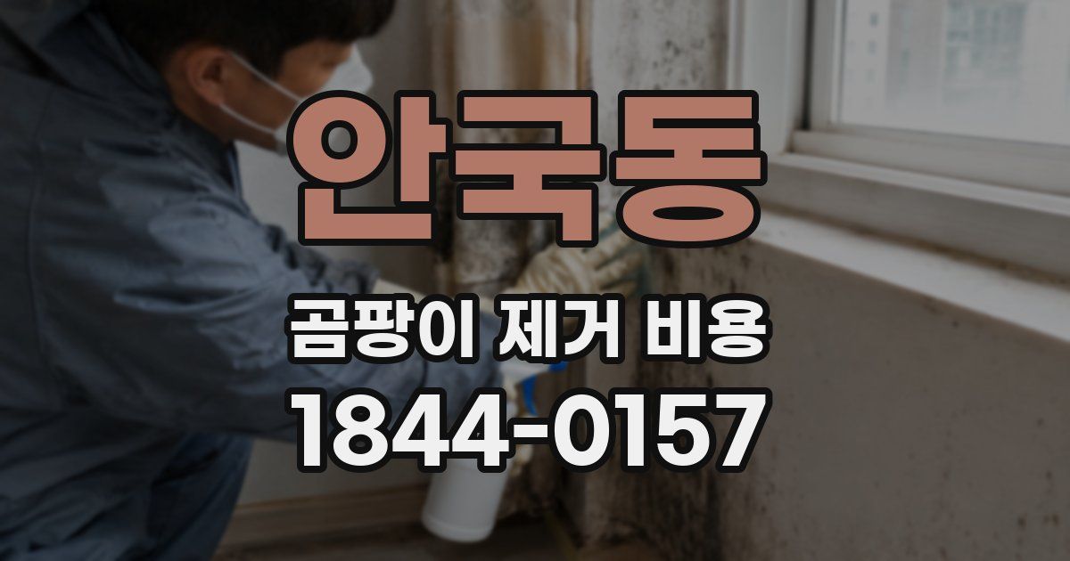 안국동 곰팡이 제거 비용