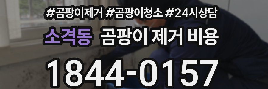 소격동 곰팡이 제거 비용