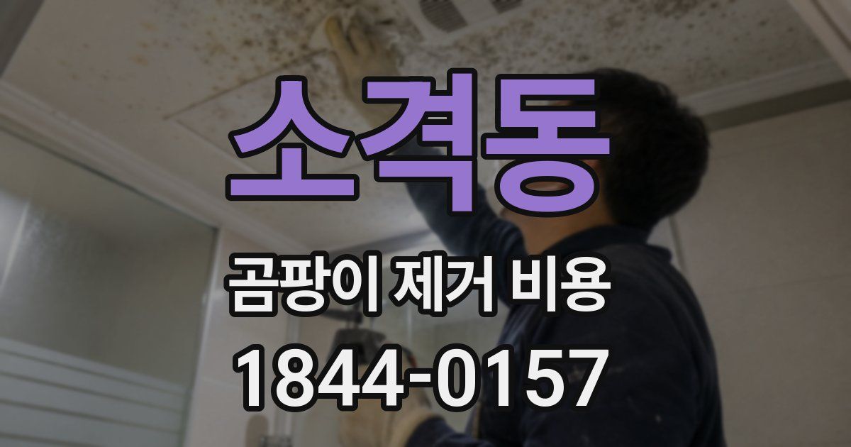 소격동 곰팡이 제거 비용