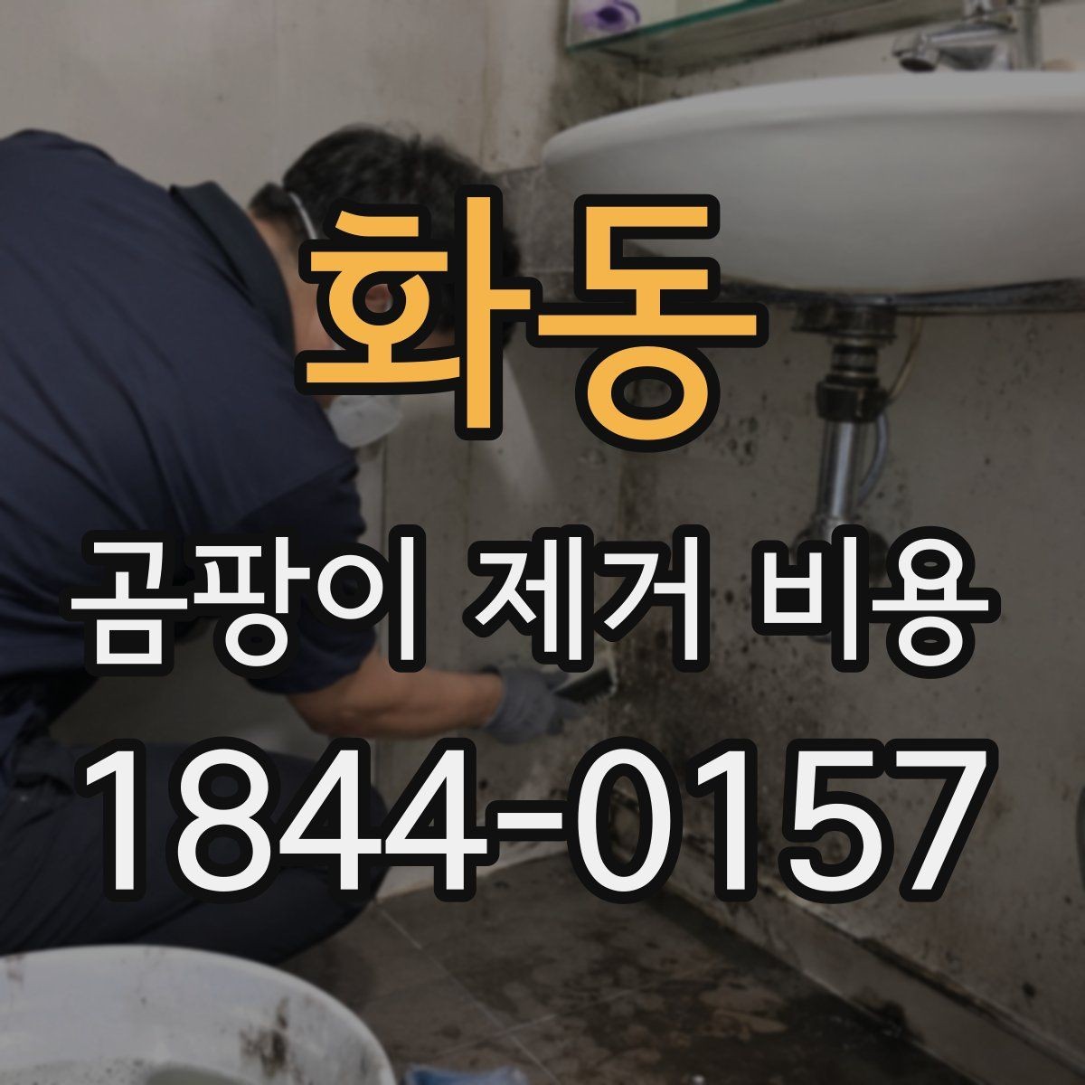 화동 곰팡이 제거 비용 가구 이동·바닥 보양·벽면 보양 항목이 더해질 때