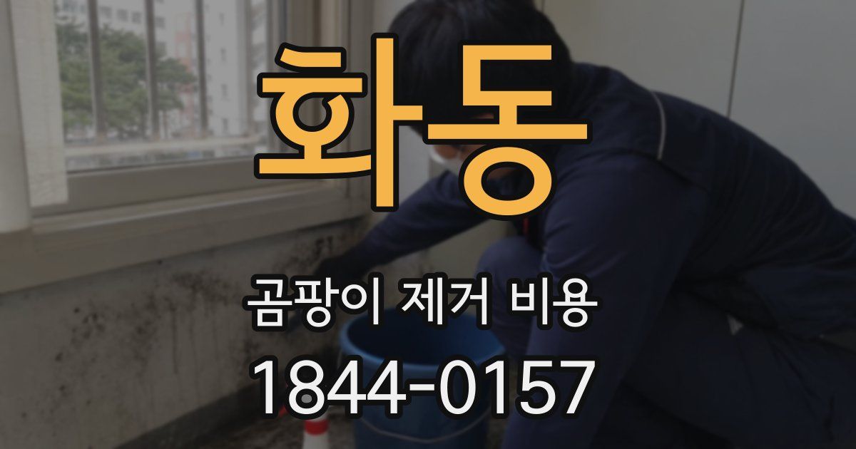 화동 곰팡이 제거 비용