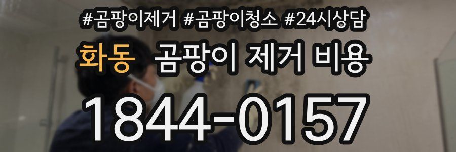 화동 곰팡이 제거 비용