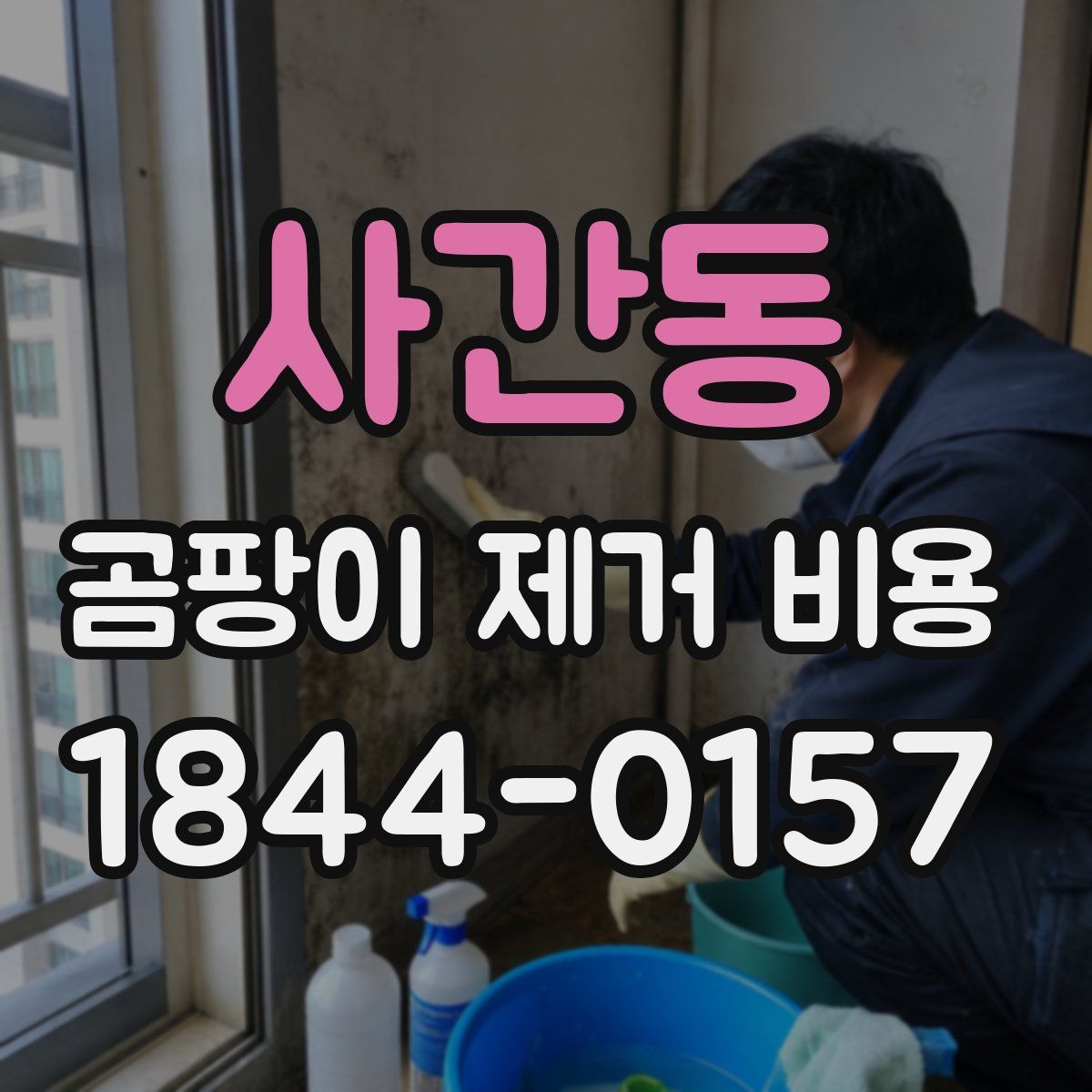 사간동 곰팡이 제거 비용