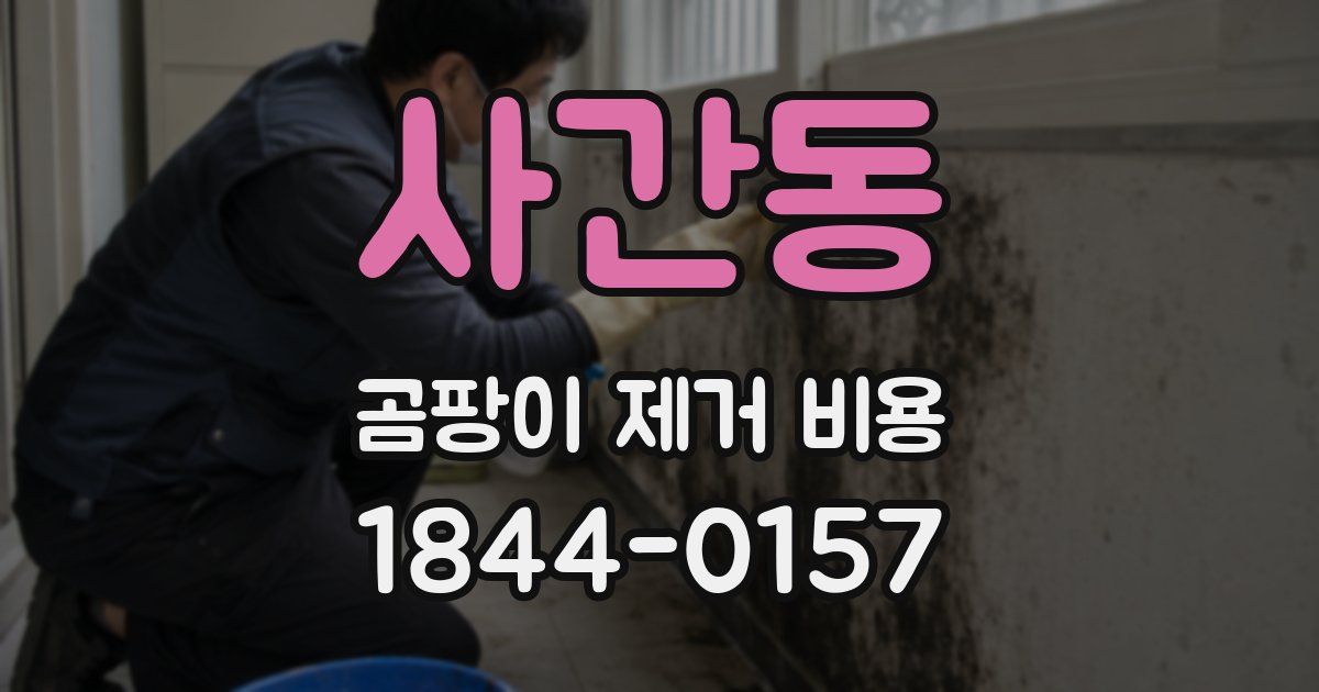 사간동 곰팡이 제거 비용