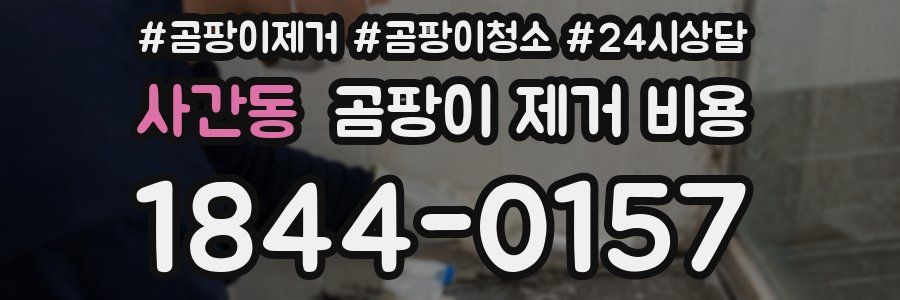 사간동 곰팡이 제거 비용