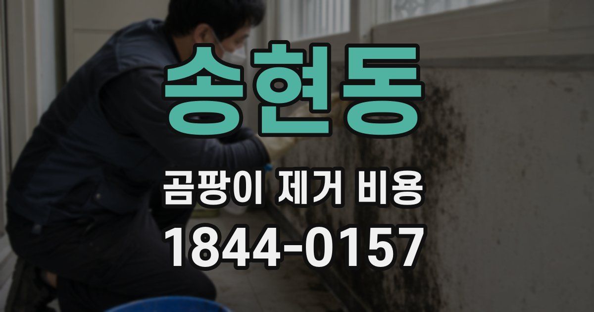 송현동 곰팡이 제거 비용