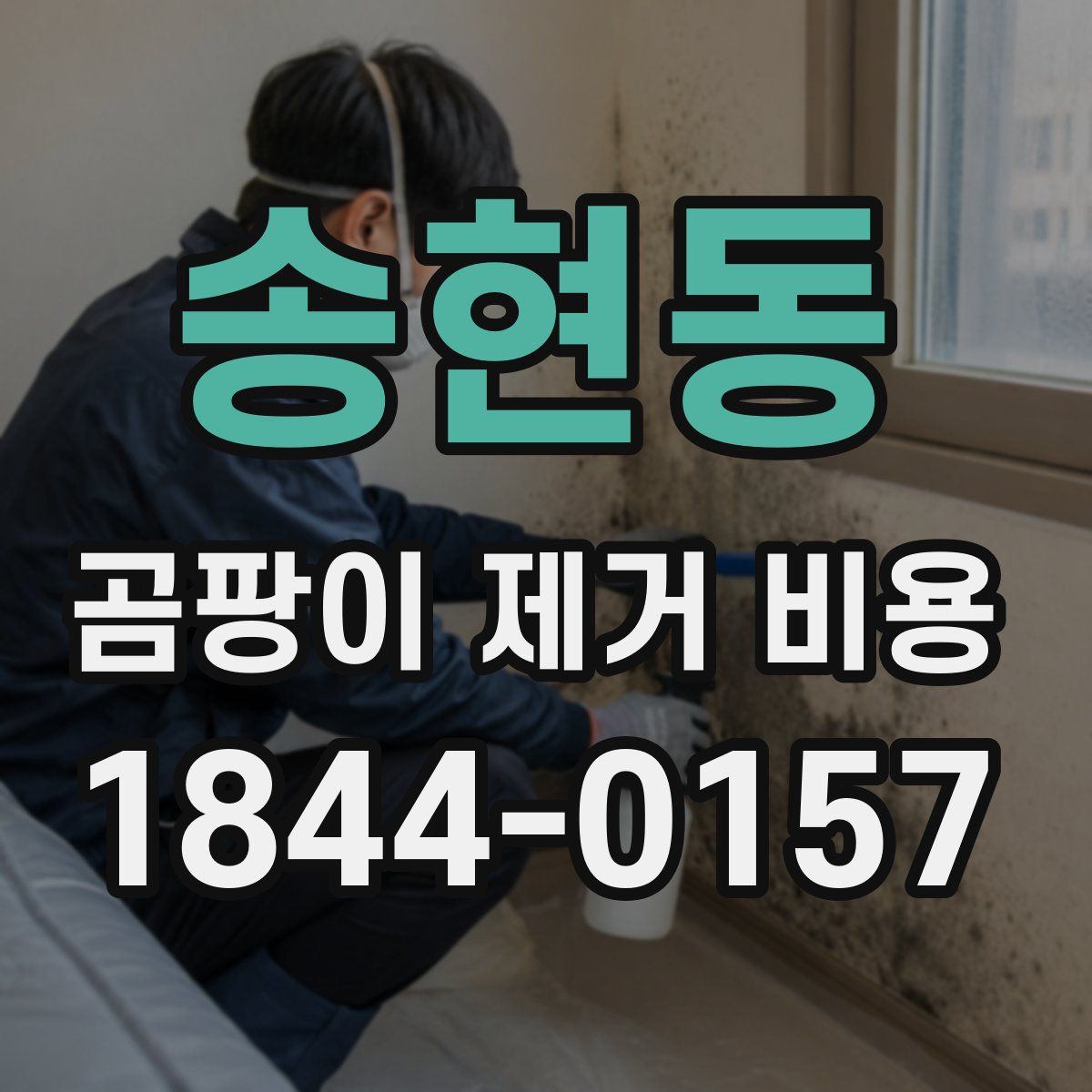 송현동 곰팡이 제거 비용