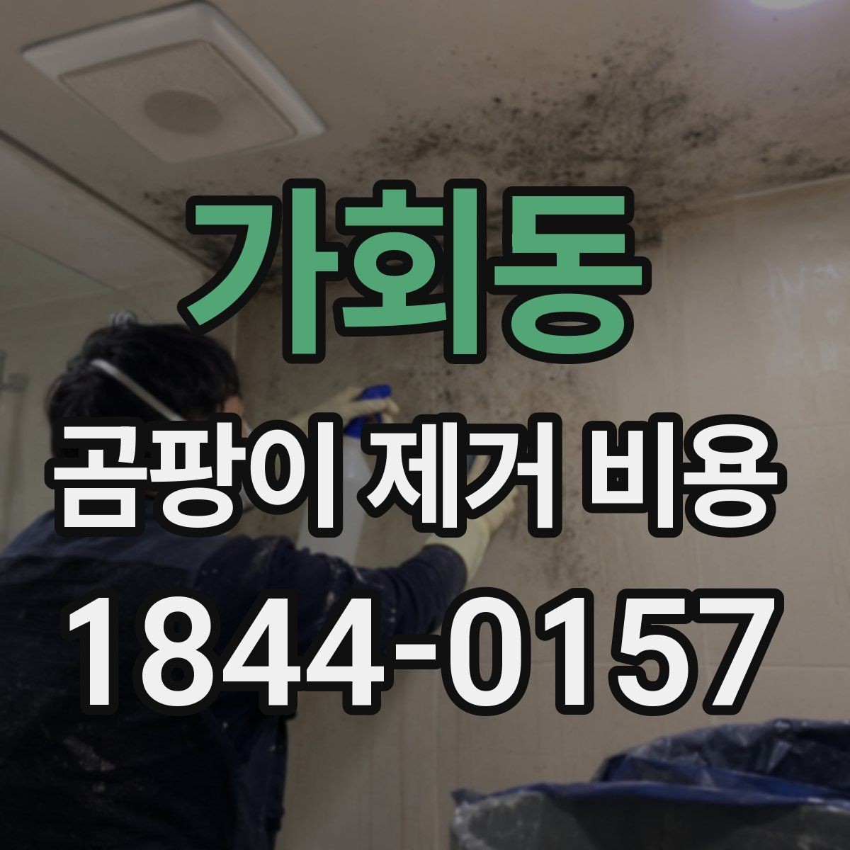 가회동 곰팡이 제거 비용 누수 보수 범위에 따라 달라지는 이유