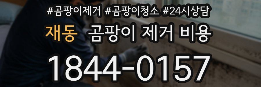 재동 곰팡이 제거 비용