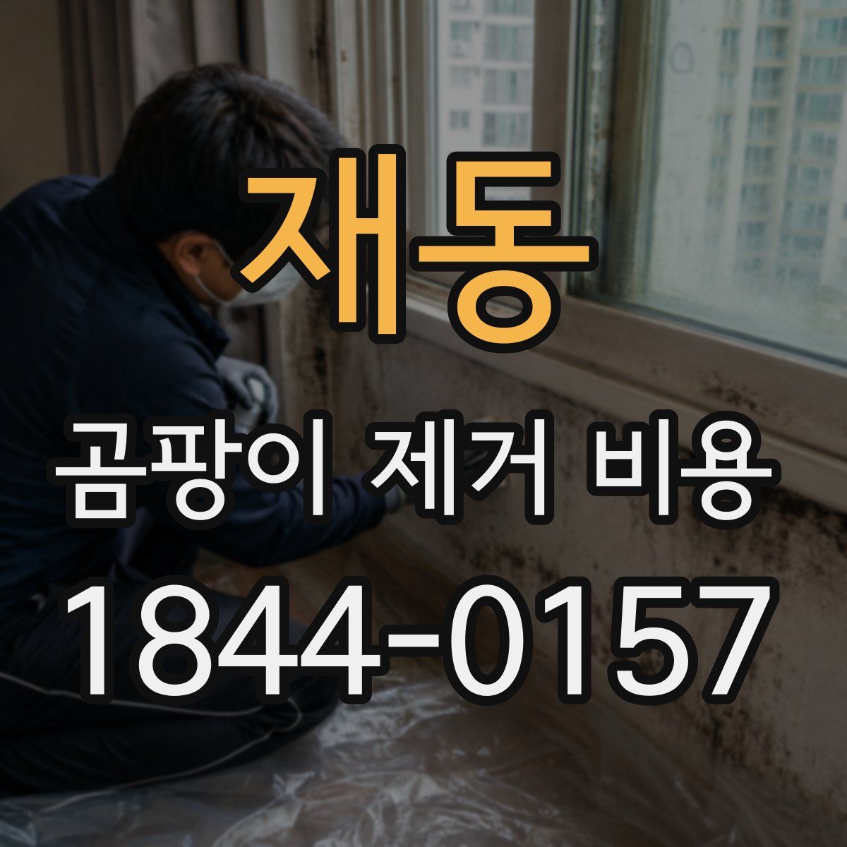 재동 곰팡이 제거 비용