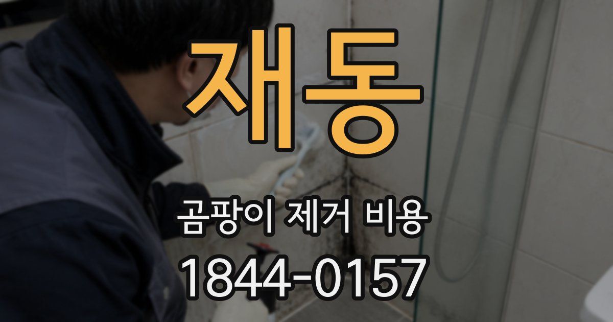 재동 곰팡이 제거 비용