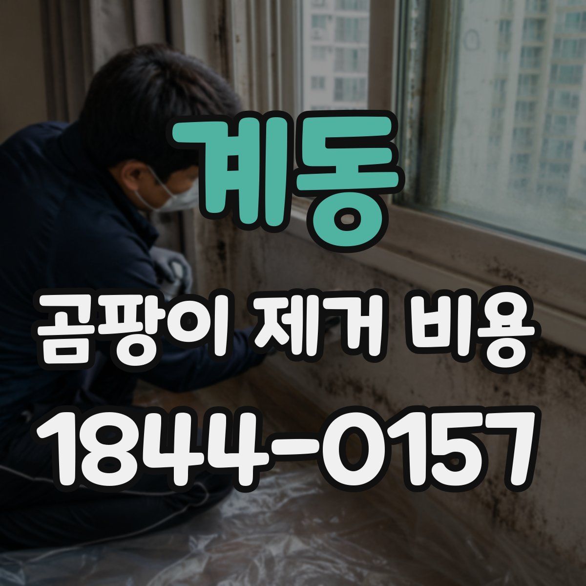 계동 곰팡이 제거 비용