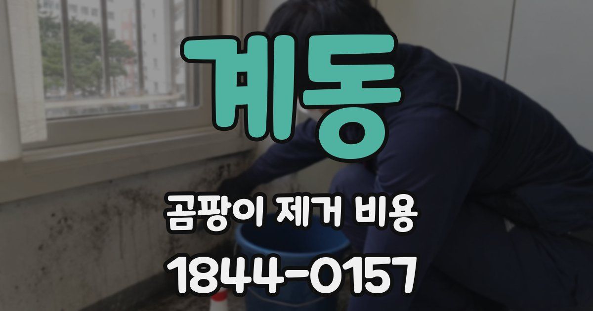 계동 곰팡이 제거 비용