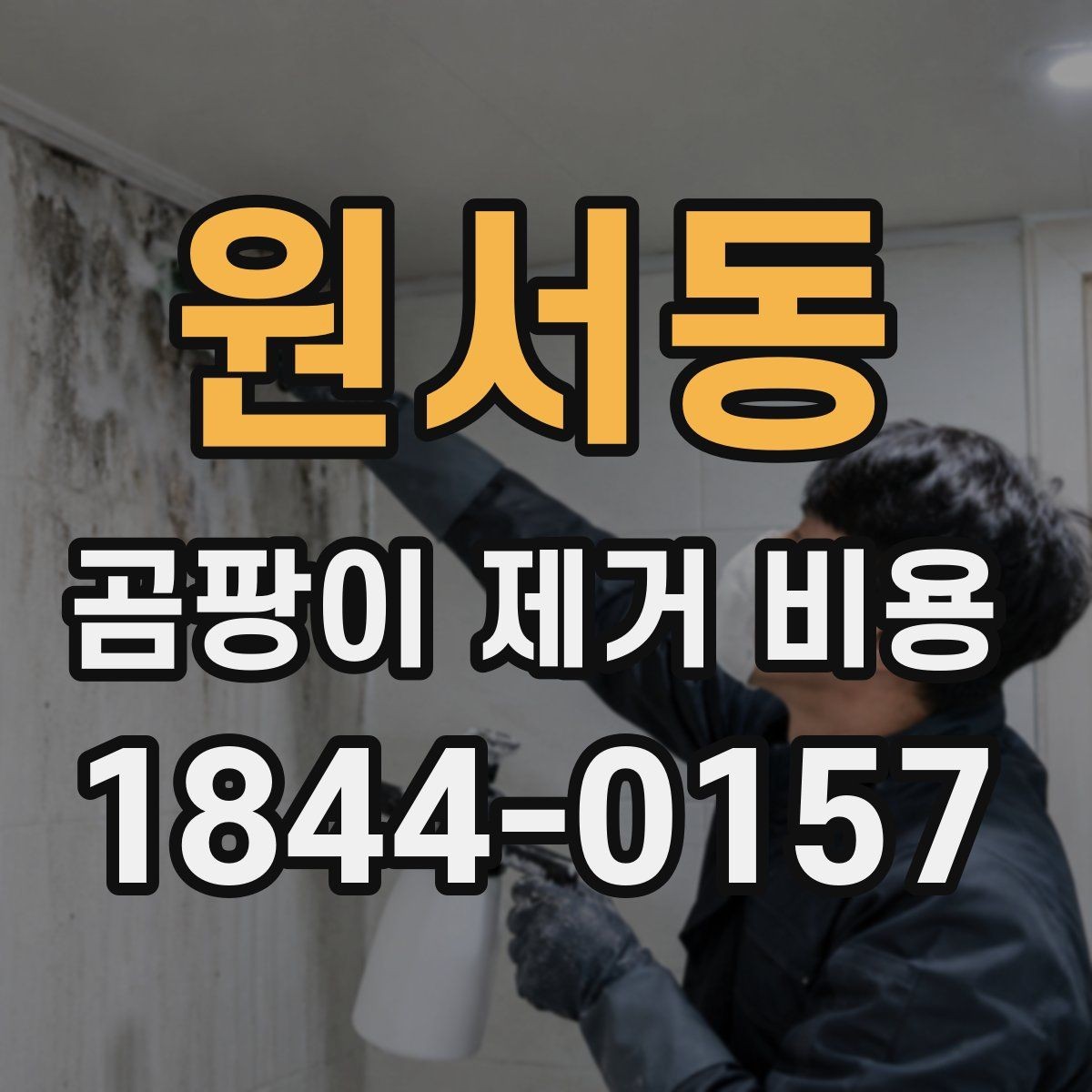 원서동 곰팡이 제거 비용 곰팡이 번진 원인부터 확인해야 하는 이유