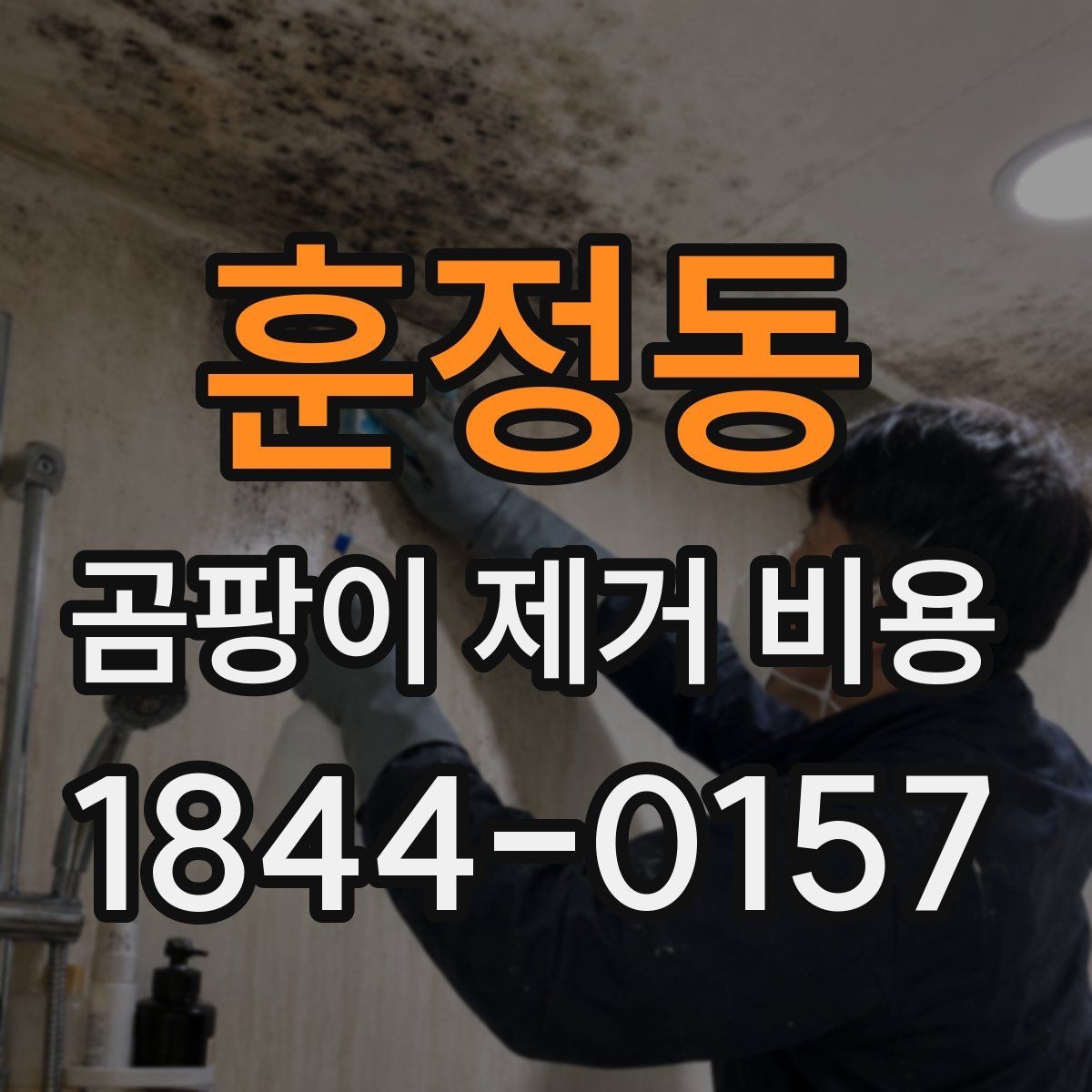 훈정동 곰팡이 제거 비용 업체 상담 전 사진으로 확인할 부분