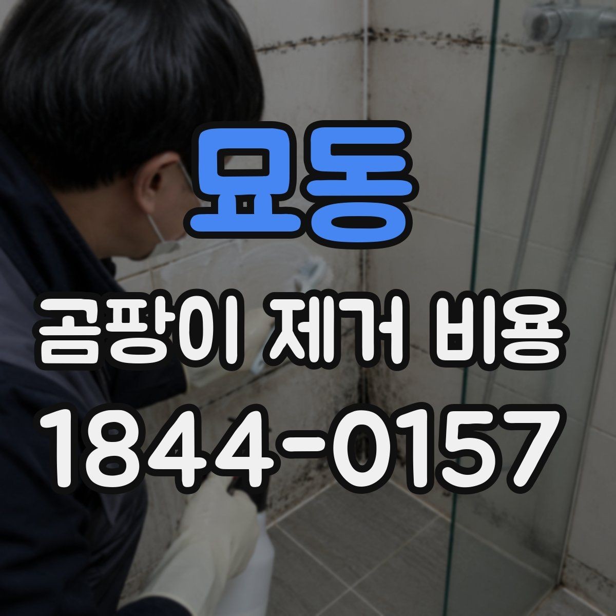 묘동 곰팡이 제거 비용 업체별 진단 방식이 다른 이유