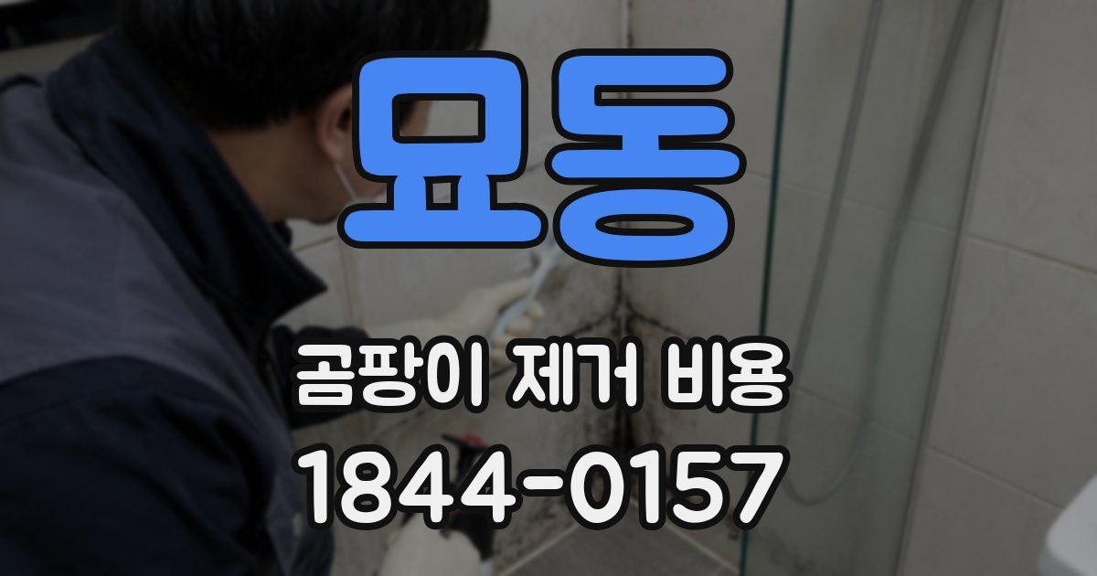 묘동 곰팡이 제거 비용