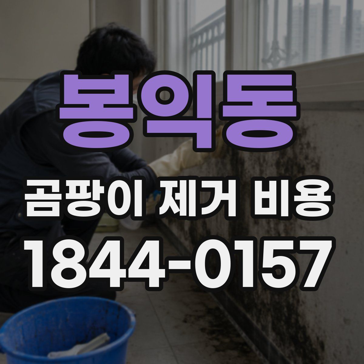 봉익동 곰팡이 제거 비용