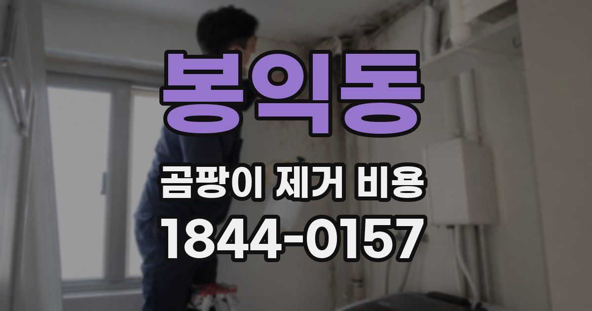 봉익동 곰팡이 제거 비용