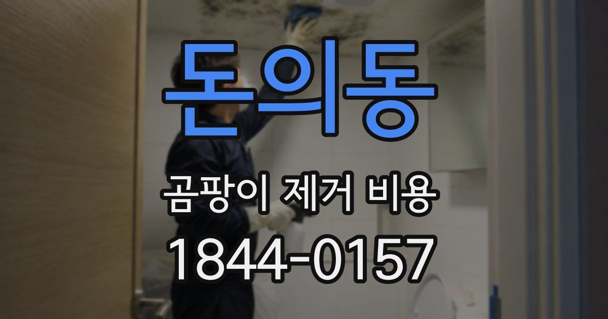 돈의동 곰팡이 제거 비용