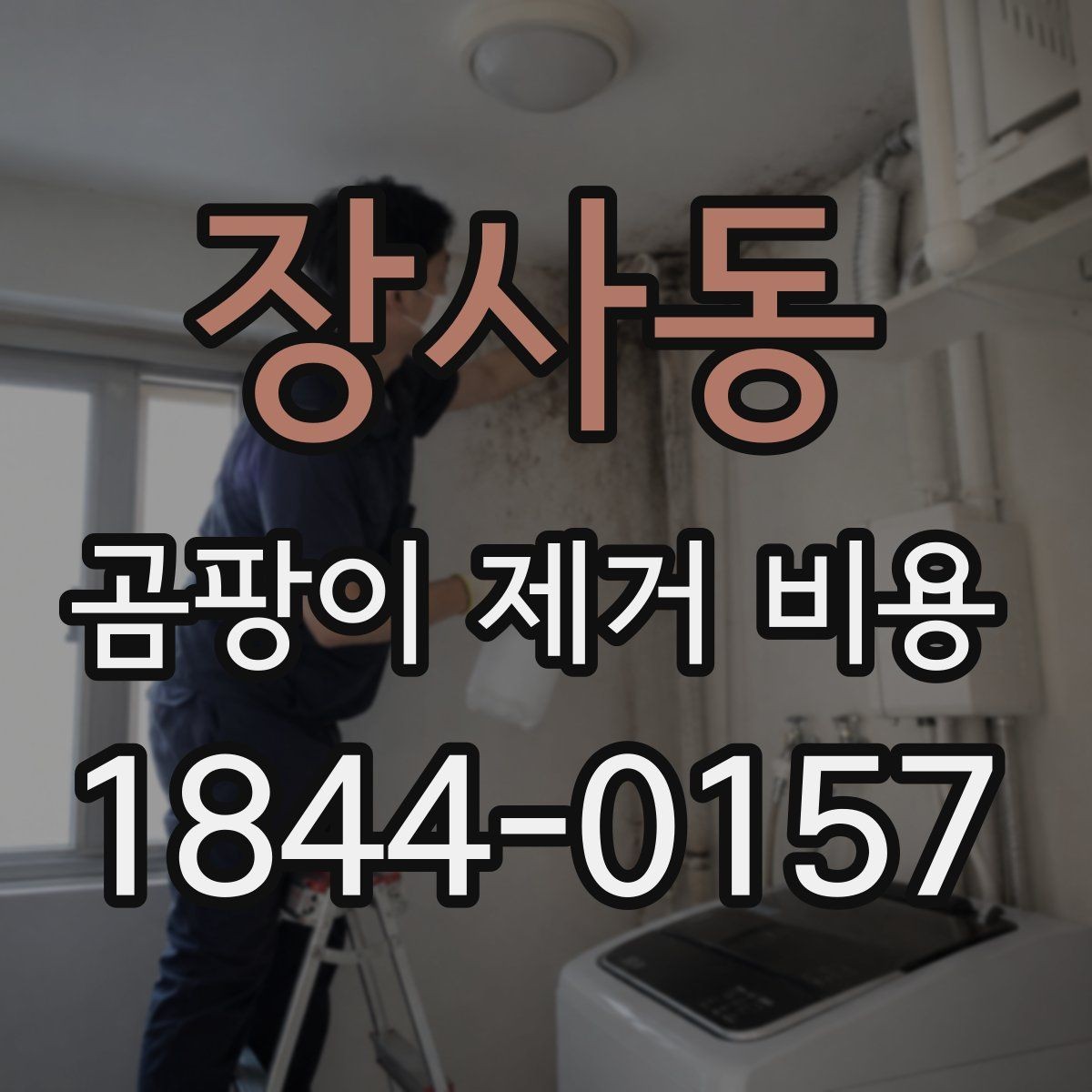 장사동 곰팡이 제거 비용 부분 시공과 전체 시공 차이