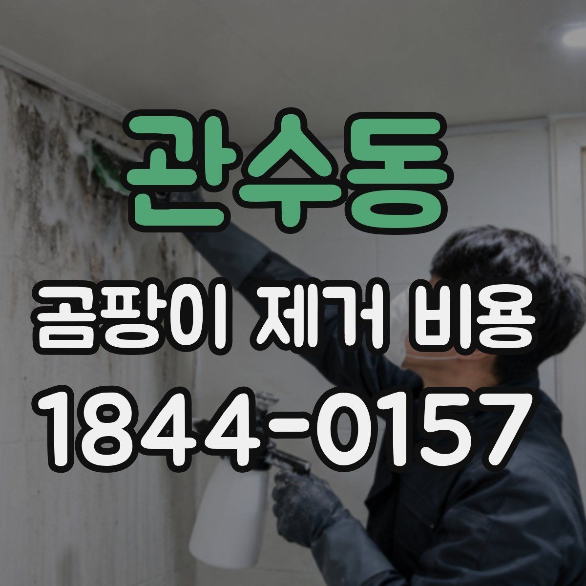 관수동 곰팡이 제거 비용 부분 시공과 전체 시공 차이