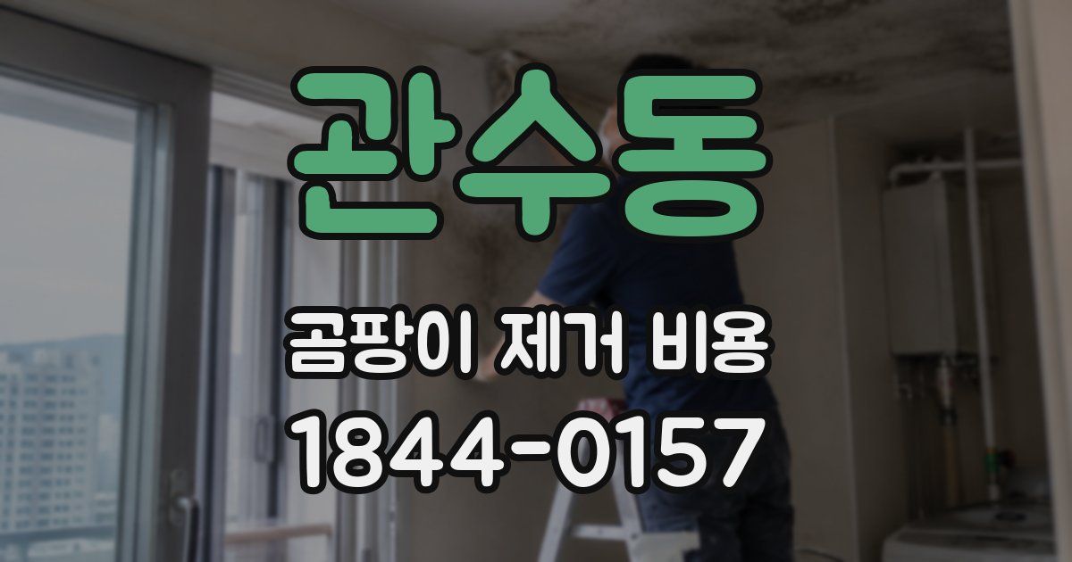 관수동 곰팡이 제거 비용