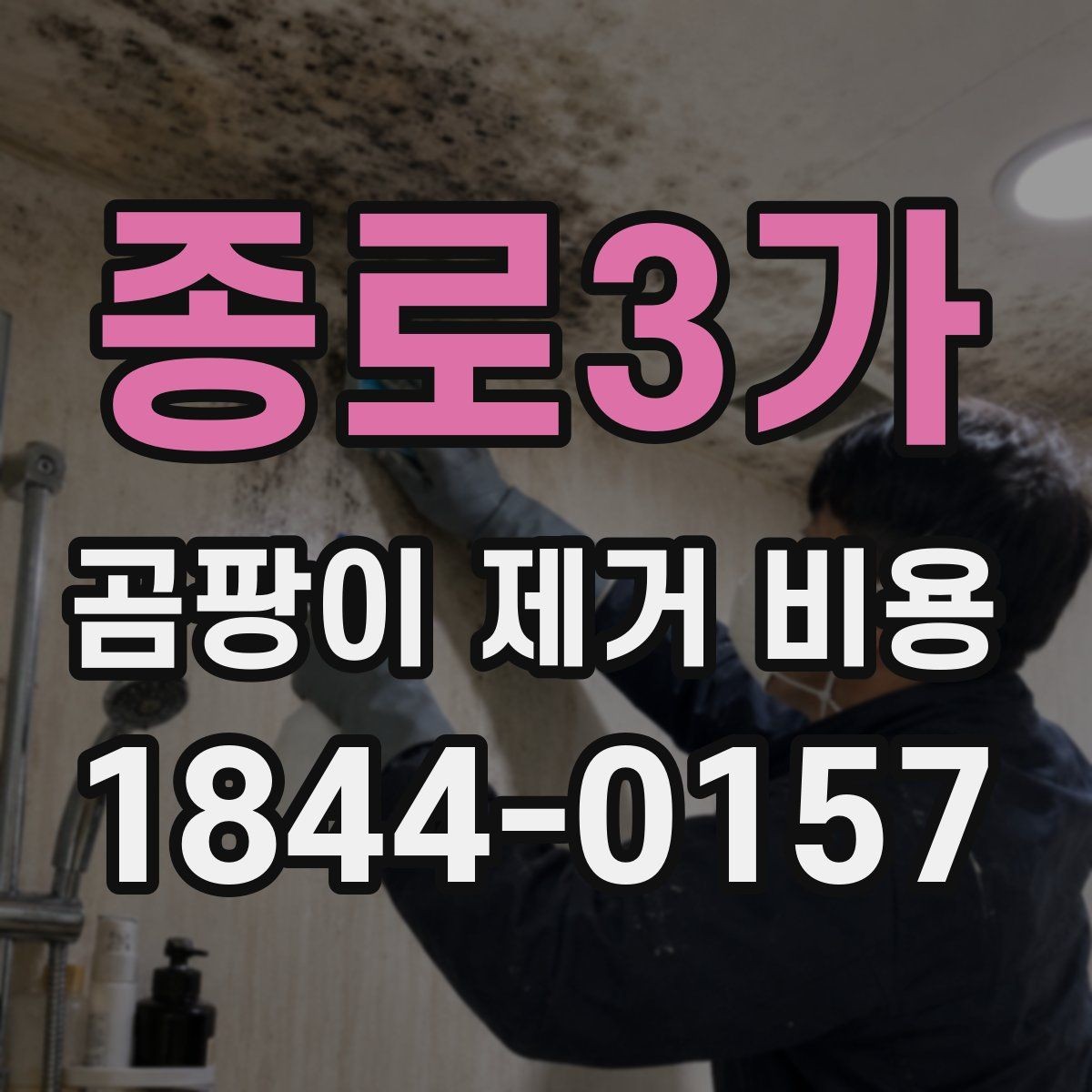 종로3가 곰팡이 제거 비용 재발 가능성 점검을 넣은 상담 체크리스트