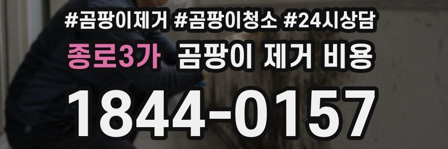 종로3가 곰팡이 제거 비용