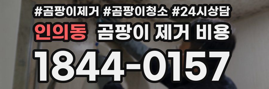 인의동 곰팡이 제거 비용