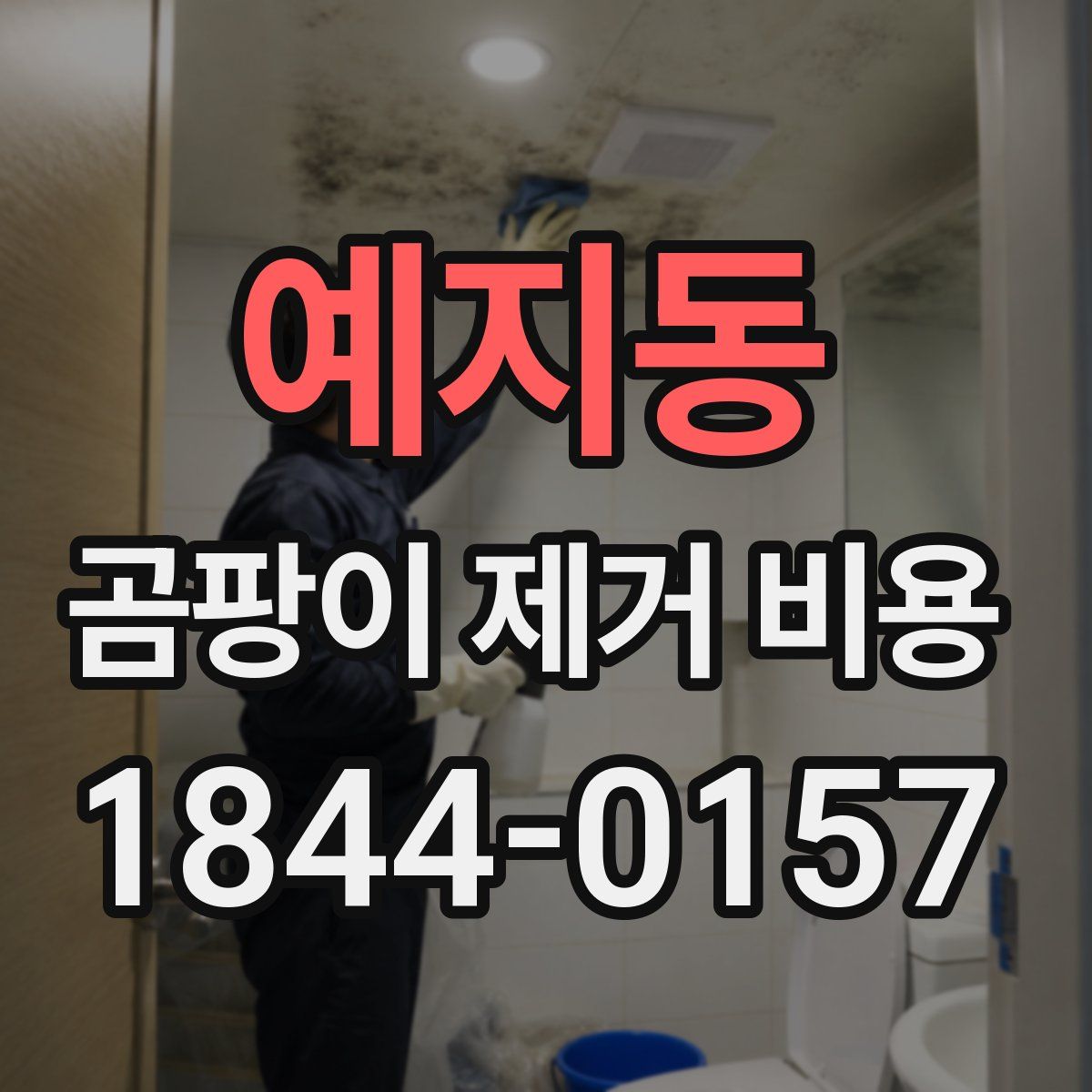 예지동 곰팡이 제거 비용