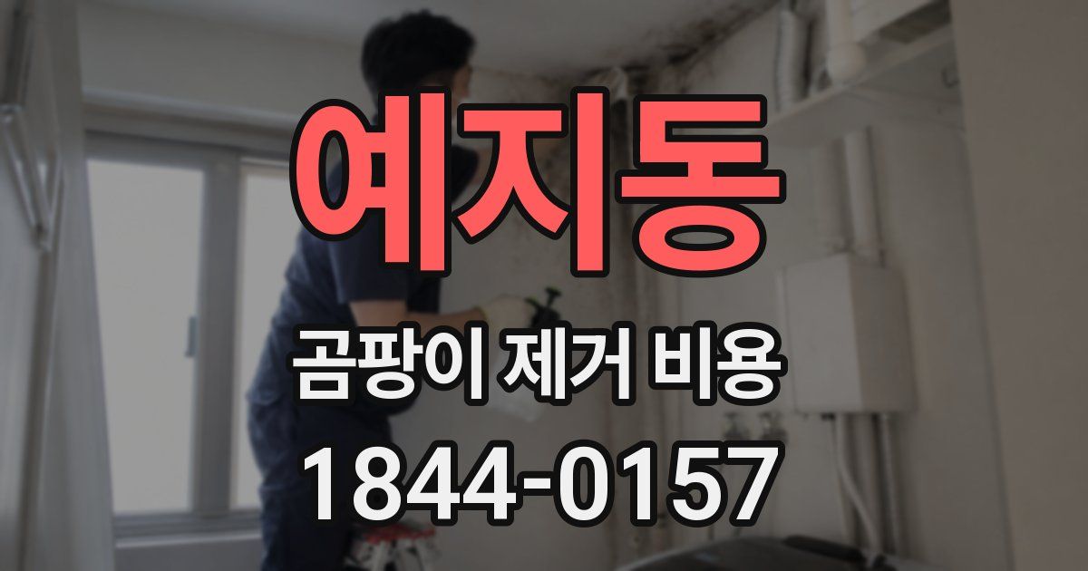 예지동 곰팡이 제거 비용