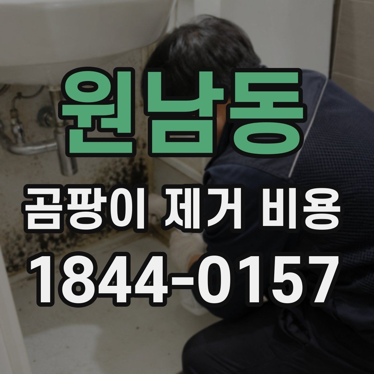 원남동 곰팡이 제거 비용 벽지 뜯는 범위가 넓어질 때 견적 포인트