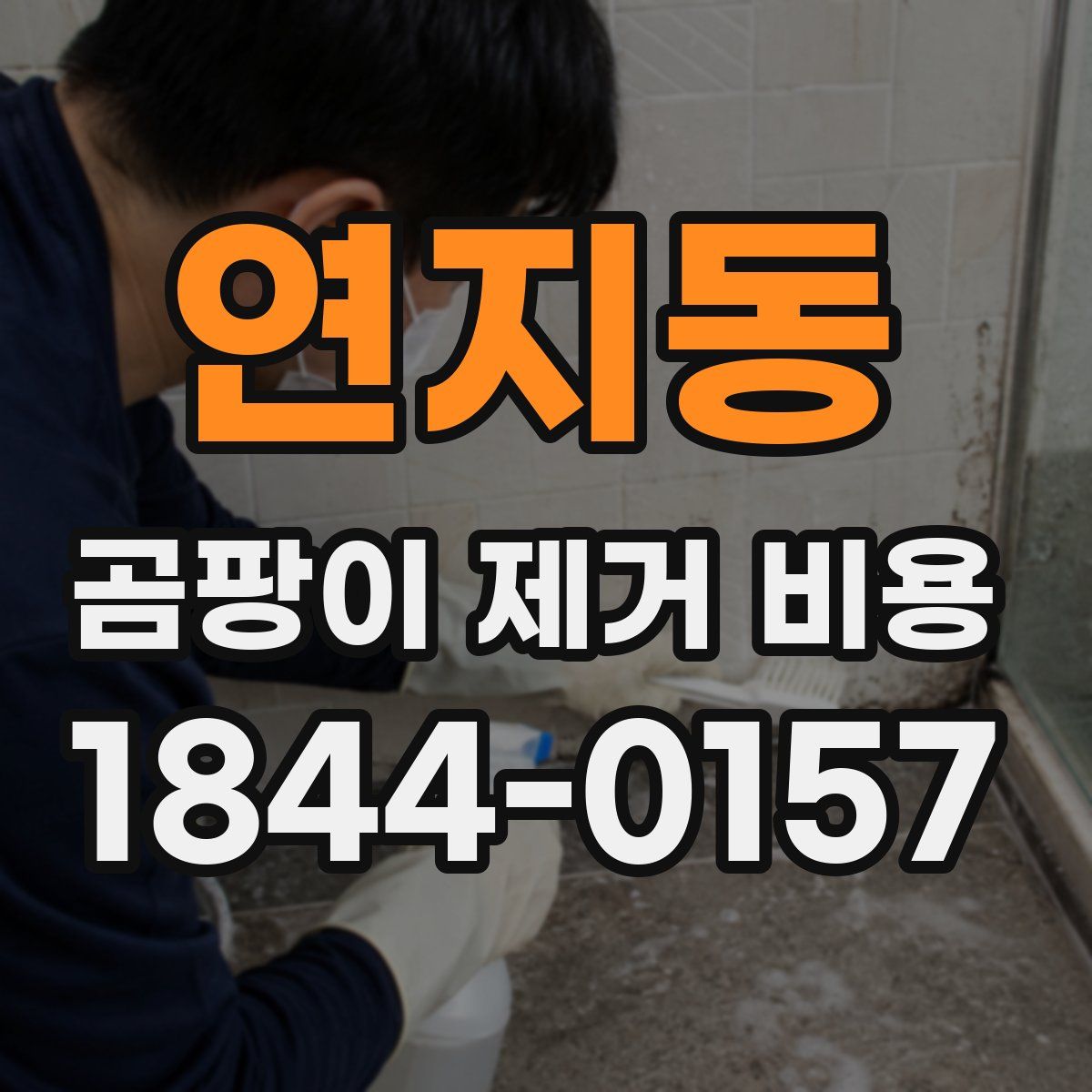 연지동 곰팡이 제거 비용