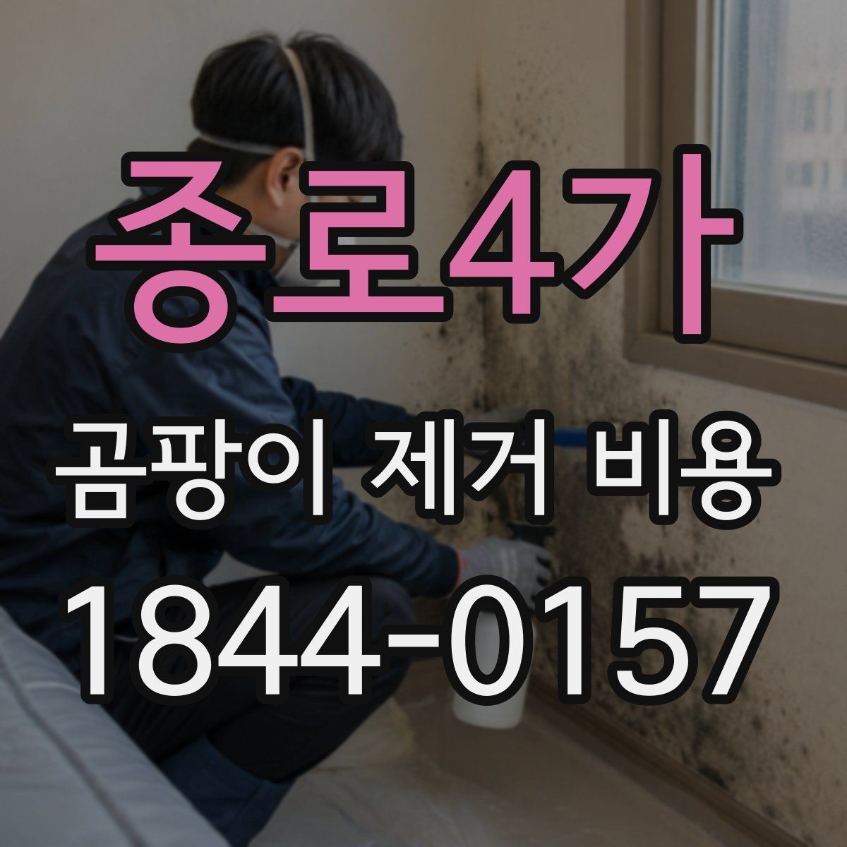 종로4가 곰팡이 제거 비용 누수 흔적과 곰팡이 번식 상태를 함께 보는 법