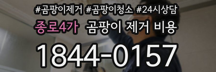 종로4가 곰팡이 제거 비용